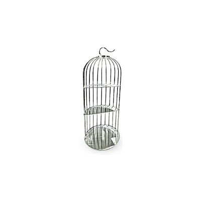 Bird Cage Stand SS